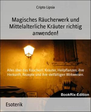 Cover of the book Magisches Räucherwerk und Mittelalterliche Kräuter richtig anwenden! by Horst Weymar Hübner