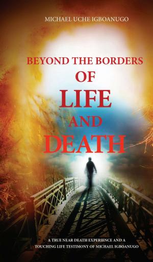 Cover of the book BEYOND THE BORDERS OF LIFE AND DEATH by Manfred Ehmer