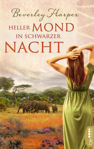 Cover of the book Heller Mond in schwarzer Nacht by Eve Jagger