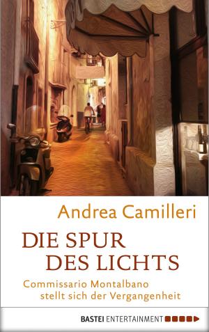 Cover of the book Die Spur des Lichts by L. Barnett Evans, Crystal V. Rhodes