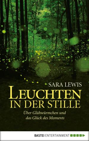 Book cover of Leuchten in der Stille