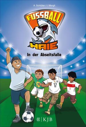 Cover of the book Fußball-Haie: In der Abseitsfalle by Ulrich Peltzer