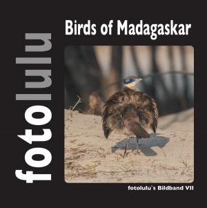 Cover of the book Birds of Madagaskar by Werner Weninger