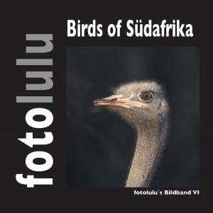 Cover of the book Birds of Südafrika by Andreas Schumacher