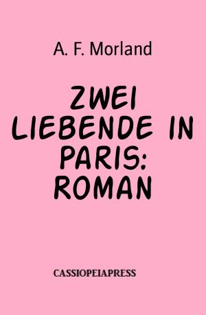 Cover of the book Zwei Liebende in Paris: Roman by Angelika Nylone
