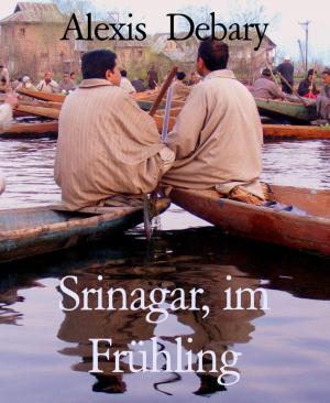 Book cover of Srinagar, im Frühling