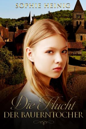 Cover of the book Die Flucht der Bauerntochter by Angelika Nylone
