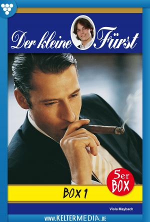 Cover of the book Der kleine Fürst 5er Box 1 – Adelsroman by Toni Waidacher