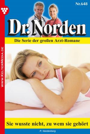 Cover of the book Dr. Norden 648 – Arztroman by Aliza Korten, Patricia Vandenberg, Judith Parker, Isabell Rohde