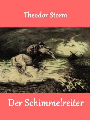 Cover of the book Der Schimmelreiter by Günther Ackermann, Urs Wyss