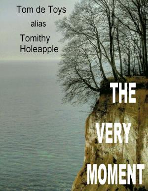 Cover of the book The Very Moment by Stefan Elsässer