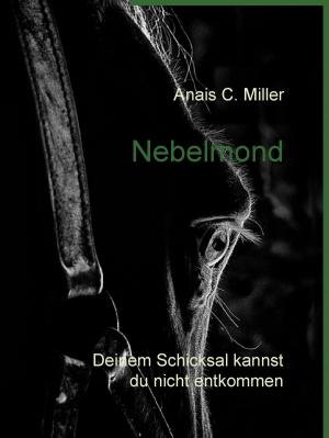 Cover of the book Nebelmond by Harry Eilenstein