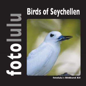 Cover of the book Birds of Seychellen by Christoph Däppen