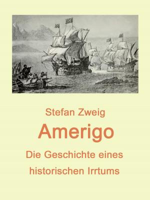 Cover of the book Amerigo by WOLFRAM BÖHME
