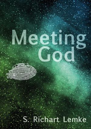 Cover of the book Meeting God by Monika Rosendahl