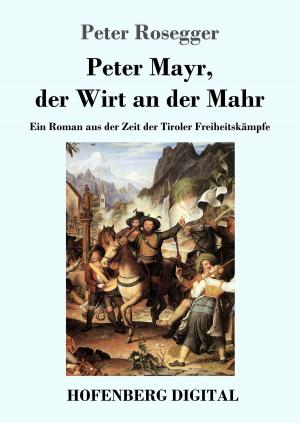 Cover of the book Peter Mayr, der Wirt an der Mahr by Gotthold Ephraim Lessing
