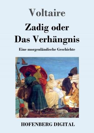 Cover of the book Zadig oder Das Verhängnis by Josephine Siebe