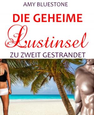Cover of the book Die geheime Lustinsel by Damian Light