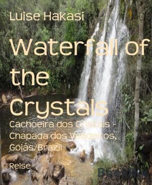 Cover of the book Waterfall of the Crystals by Wolf G. Rahn