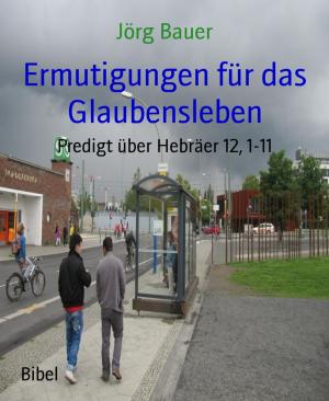 Cover of the book Ermutigungen für das Glaubensleben by Dimpra Kaleem