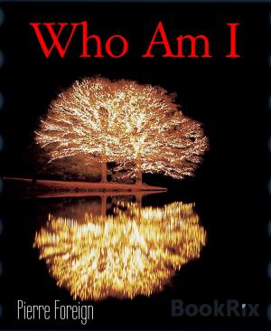 Cover of the book Who Am I by Michael Ziegenbalg