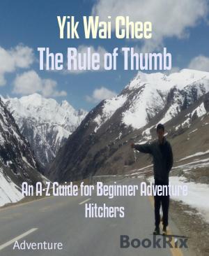 Book cover of The Rule of Thumb