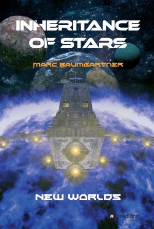 Cover of the book Inheritance of Stars by Judith E. Spörl