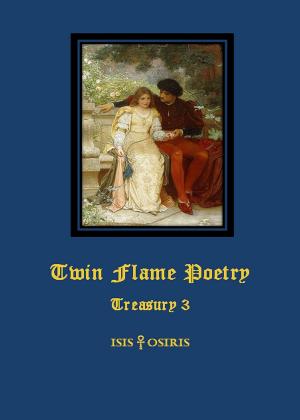 Cover of the book Twin Flame Poetry by Udo Meeßen