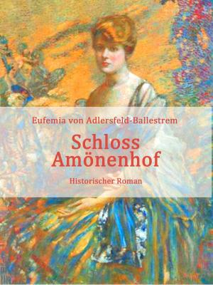 Cover of the book Schloss Amönenhof by Rudolf Steiner