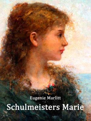 Cover of the book Schulmeisters Marie by Michael Nörtersheuser