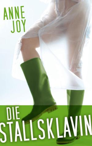 Cover of the book Die Stallsklavin by Monika Lautner