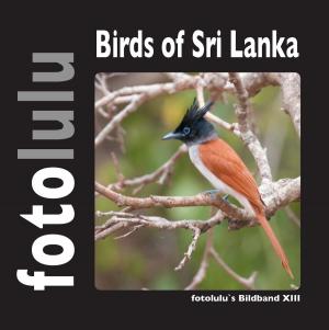 Cover of the book Birds of Sri Lanka by Elisabeth Rainer, Christian Rainer
