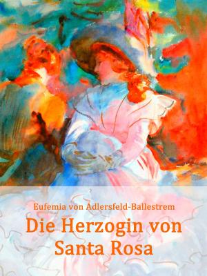 Cover of the book Die Herzogin von Santa Rosa by Peter W. Janakiew