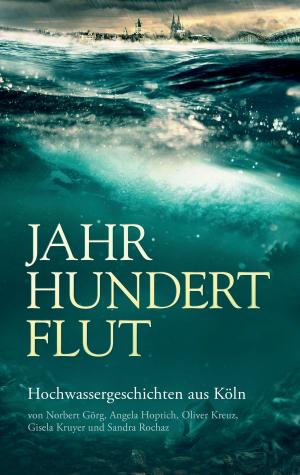 Book cover of Jahrhundertflut