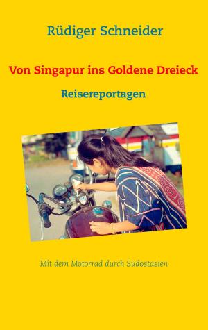 Cover of the book Von Singapur ins Goldene Dreieck by Marianne Moldenhauer