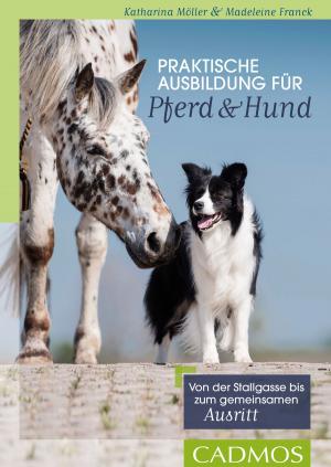 Cover of the book Praktische Ausbildung für Pferd und Hund by Martina Braun