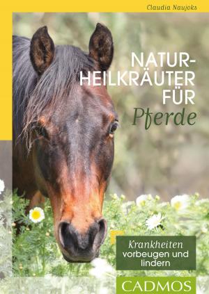 Cover of the book Naturheilkräuter für Pferde by Anette Doering