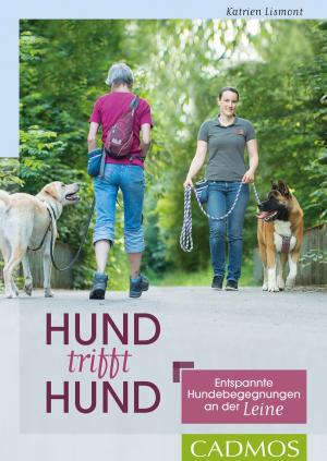 Cover of the book Hund trifft Hund by Ines Scheuer-Dinger