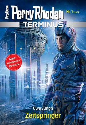 Cover of the book Terminus 1: Zeitspringer by Susan Schwartz