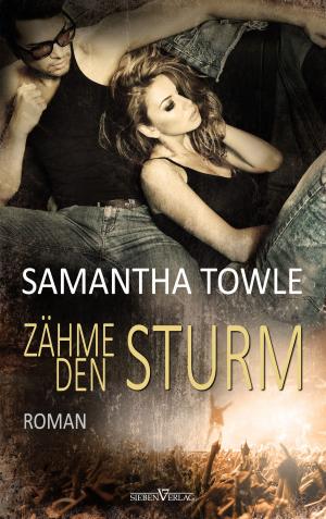 Cover of the book Zähme den Sturm by Sylvia Pranga