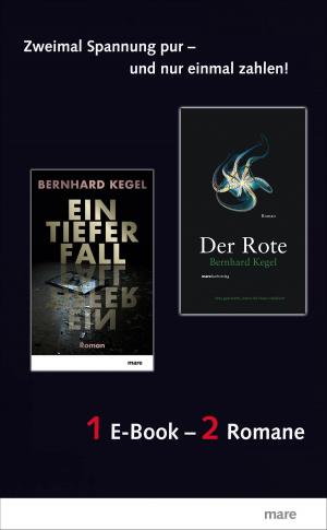 Cover of the book Der Rote & Ein tiefer Fall by Isabelle Autissier