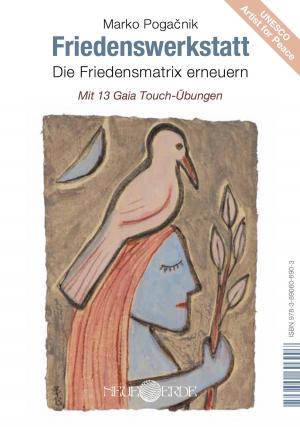 Book cover of Friedenswerkstatt