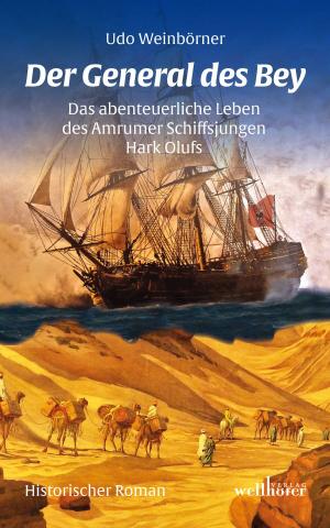 Cover of the book Der General des Bey. Historischer Roman by Walter Landin