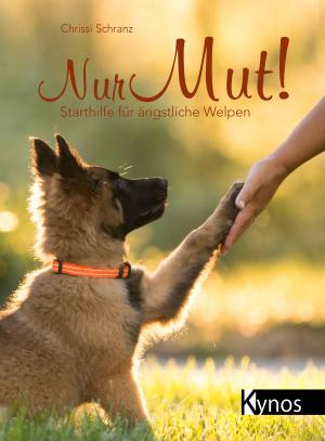 Cover of the book Nur Mut! by Patricia B. McConnell