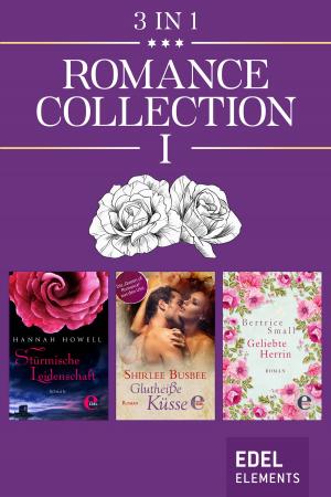 bigCover of the book Romance Collection I by 