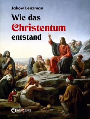 Cover of the book Wie das Christentum entstand by Wolfgang Schreyer