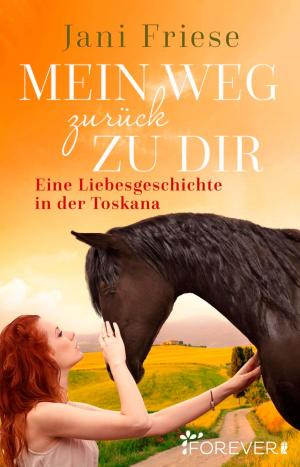 Cover of the book Mein Weg zurück zu dir by Anni Deckner