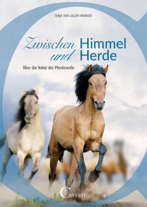 Cover of Zwischen Himmel und Herde
