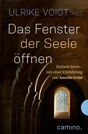 Cover of the book Das Fenster der Seele öffnen by Alex James