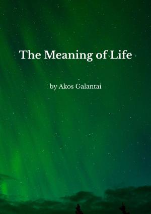Cover of the book The Meaning of Life by Mark